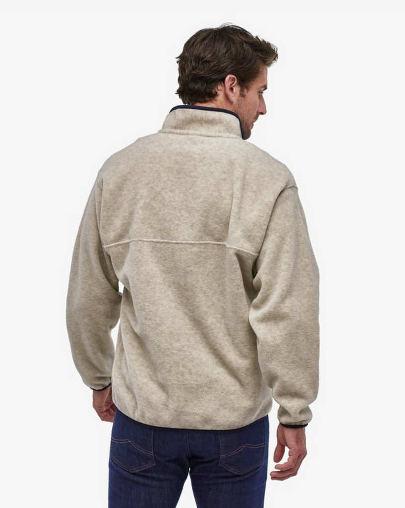 Patagonia men's 2025 lightweight jacket