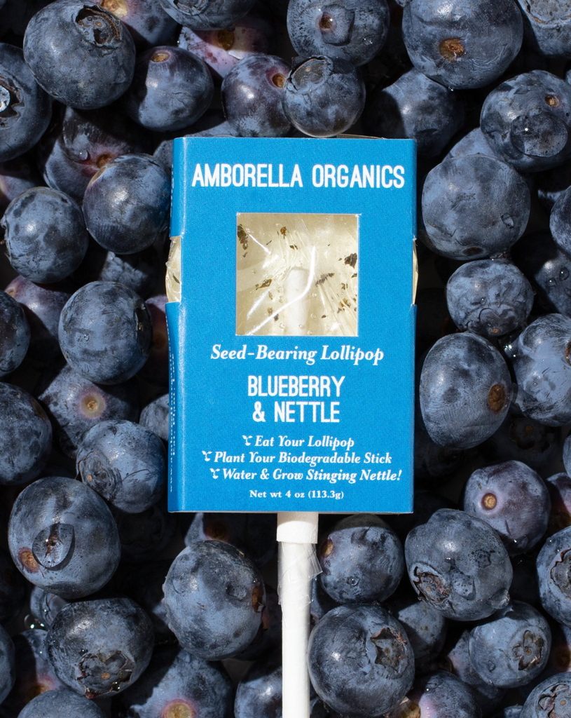 Amborella - Blueberry & Nettle